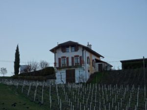 Chemin du Paradis (Satigny) 9