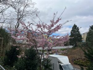 Les Avanchets